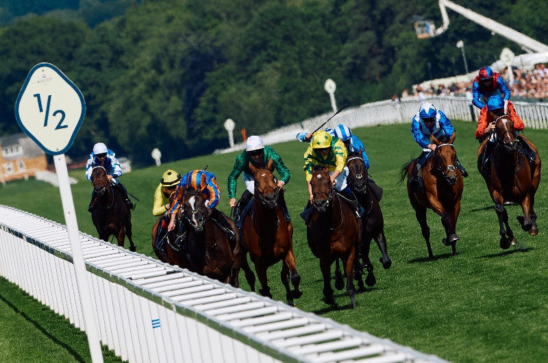 ascot ascot