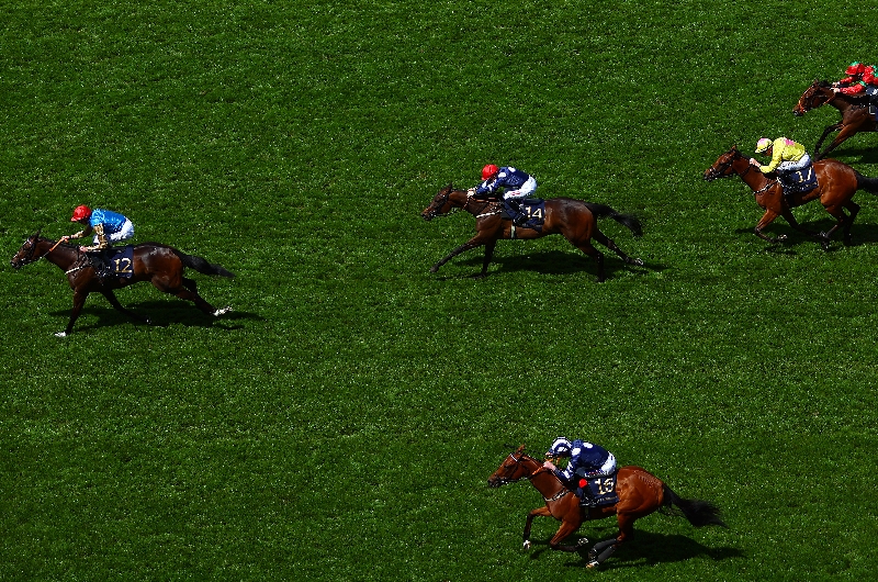 ascot ascot
