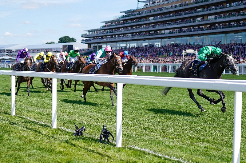 ascot ascot