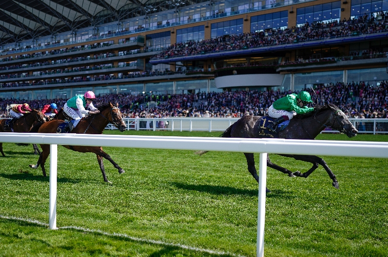 ascot ascot