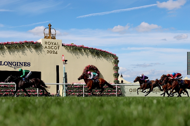 ascot ascot