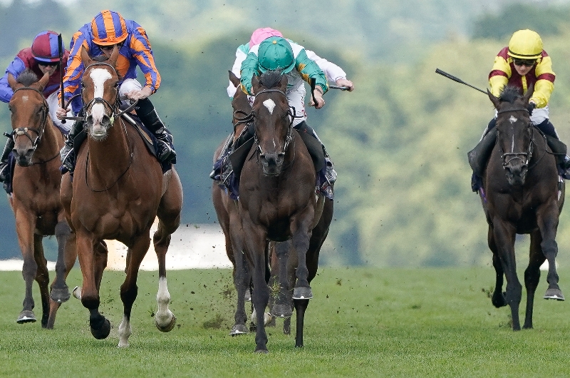 ascot