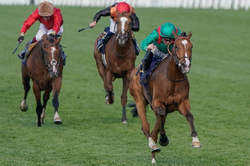 ascot
