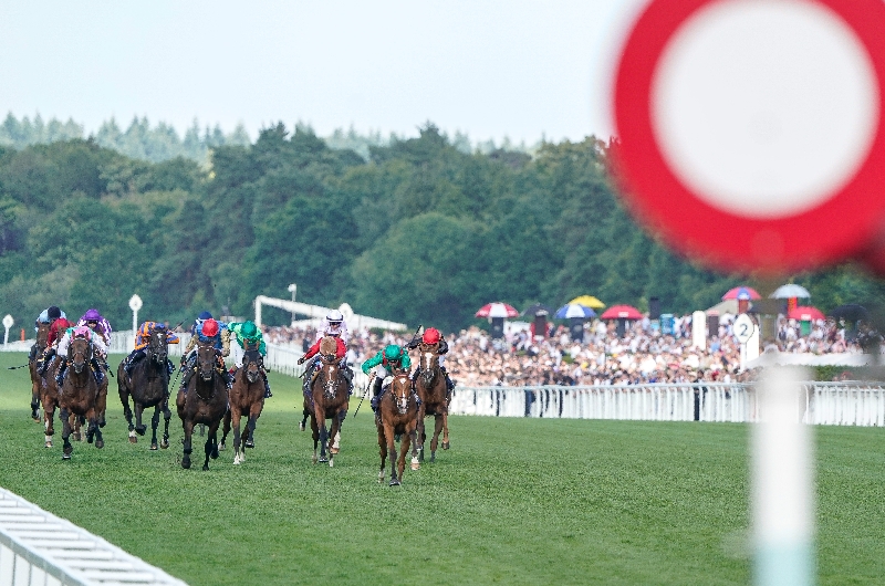 ascot
