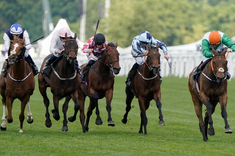 ascot
