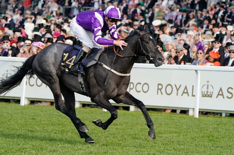 ascot