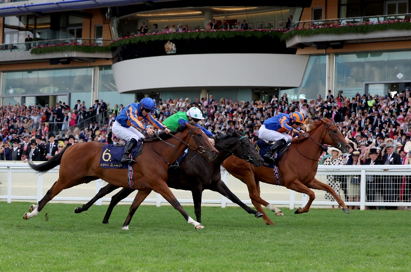 ascot
