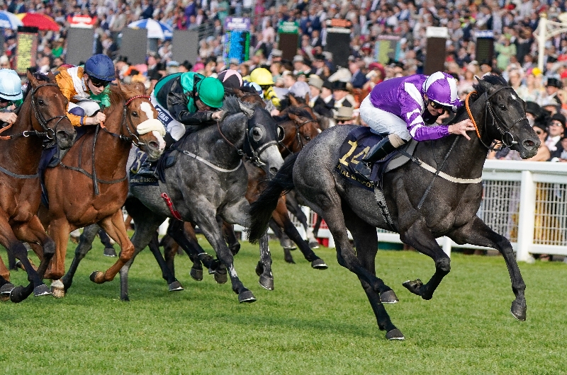 ascot