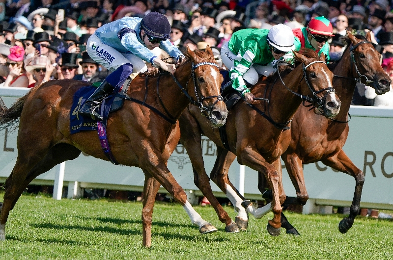 ascot