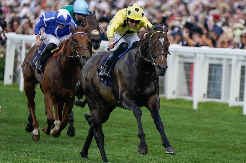 ascot