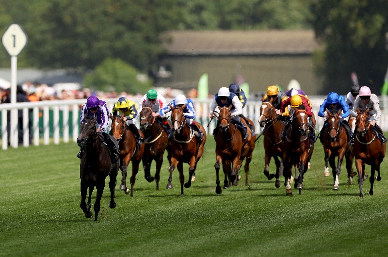 ascot ascot