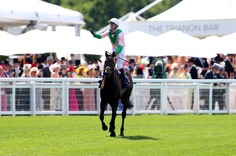 ascot ascot