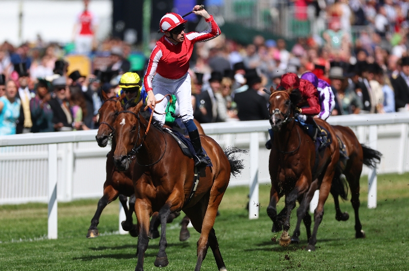 ascot ascot