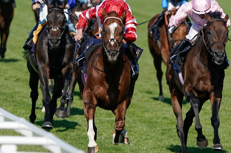 ascot ascot