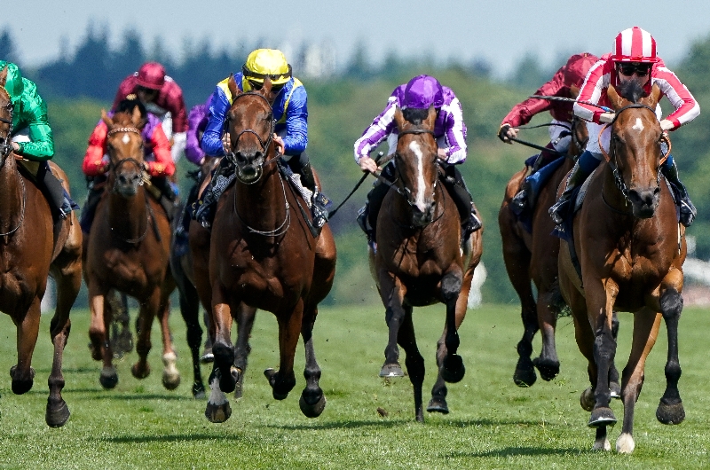 ascot ascot