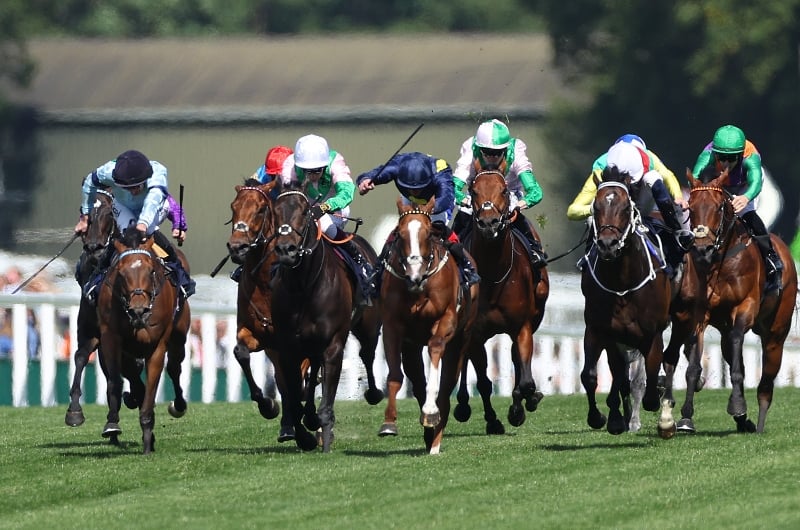 ascot ascot
