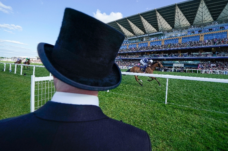 ascot ascot