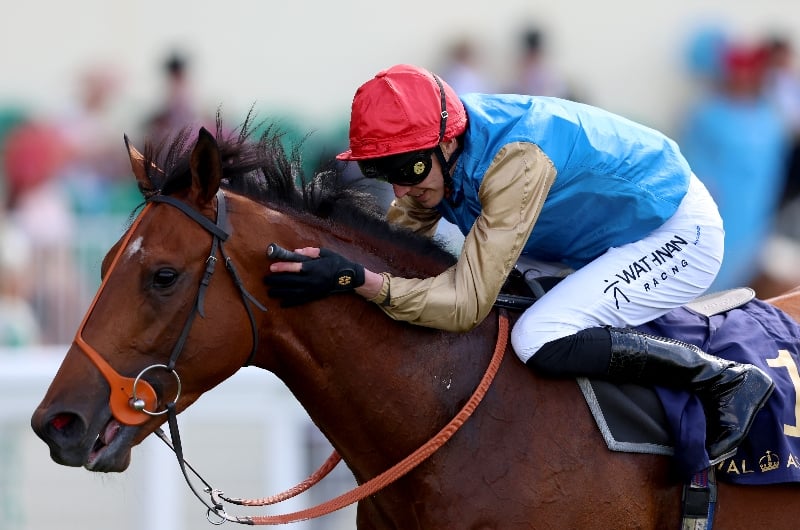 ascot ascot