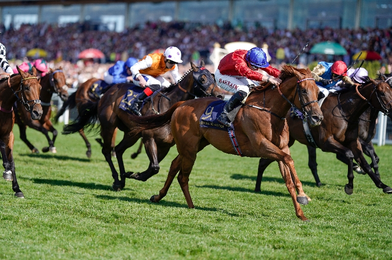 ascot ascot