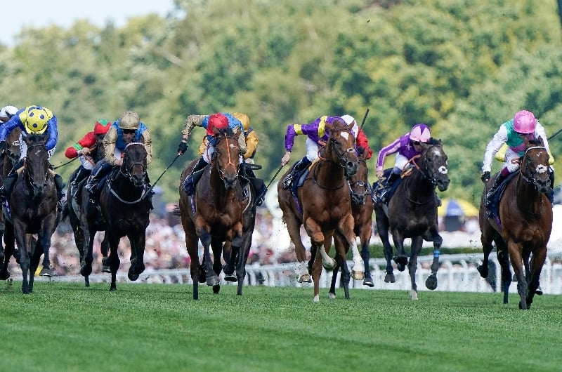 ascot ascot