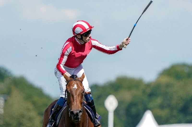 ascot ascot