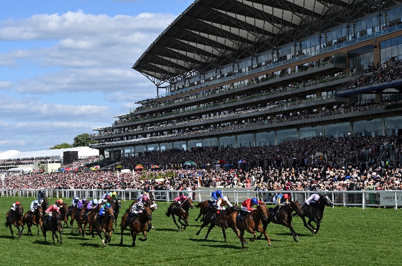 ascot ascot