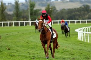 Tattersall's Tiara 2024 Barrier Draw & Final Field