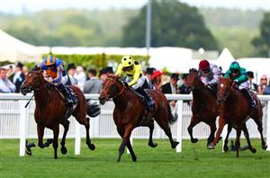 When is the 2025 St James's Palace Stakes?
