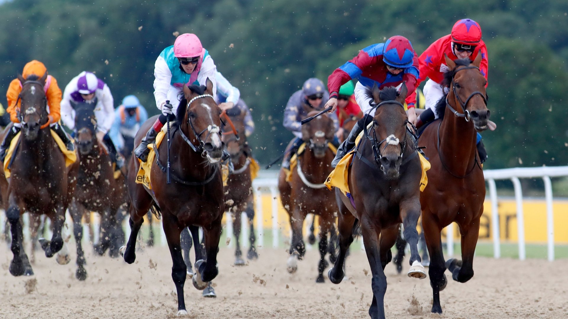 2024 Northumberland Plate Tips Odds, trends and two tips