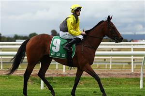 Tattersalls Tiara Tips - Runner-by-Runner Guide for the Eagle Farm Group 1