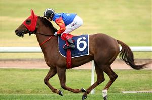 Big Bets for 29.06.2024