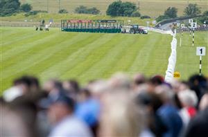 curragh
