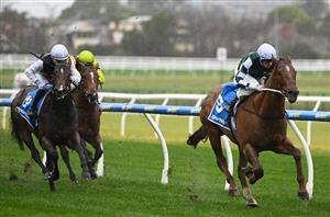Big Bets Results from June 29
