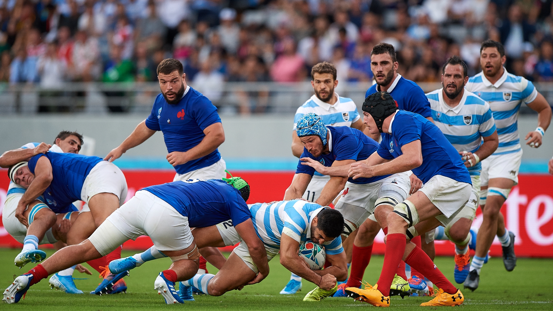 France Vs Argentina Rugby
