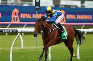 Big Bets for 06.07.2024