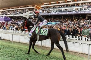 Durban July 2024 Odds Update 1:00pm - Green With Envy favourite with Stake.com