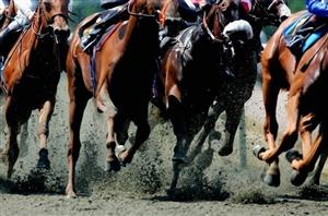 Pakenham tips for 02.06.2023
