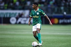 palmeiras