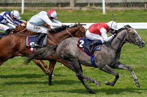 2024 July Cup Tips - Two to back in Saturday's feature