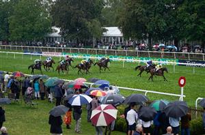 newmarket july