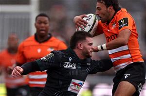 cheetahs rugby