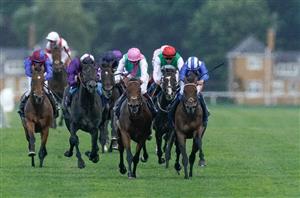 2024 King George VI and Queen Elizabeth Stakes Live Stream - Watch the Ascot race online