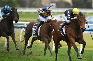 Caulfield Races