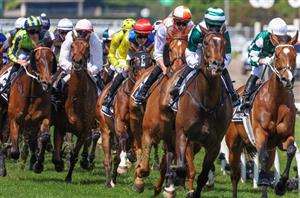 Melbourne Cup 2024 Betting Tips - Ciaron Maher favoured to claim another Melbourne Cup