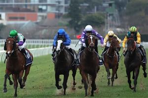 Randwick Horse Racing