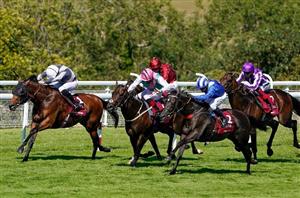 2024 Sussex Stakes Live Stream - Watch the Goodwood race online