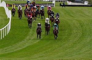 punchestown hurdle