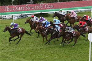 stewards cup goodwood