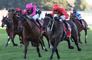 Big Bets for 10.08.2024