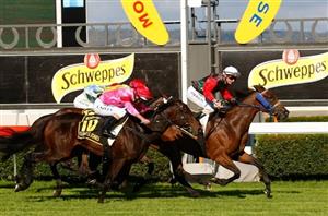 Morphettville Racing